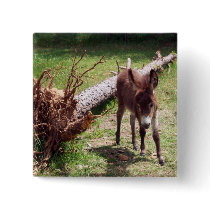 Binky The Miniature Donkey Pinback Button