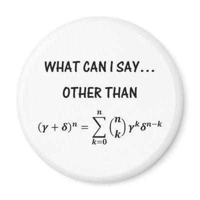 Binomial Theorem Magnet by dawnkwilliams