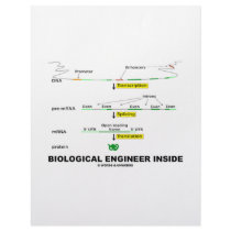 Biological Engineer Inside