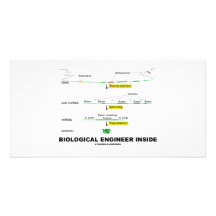 Biological Engineer Inside Picture Card