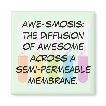 Biology & Chemistry Teachers: Science is Awesome