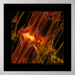 Biology: communication #1 posters