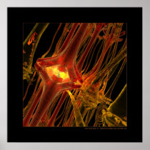 Biology: communication #1 print