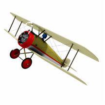Biplane and Pilot Photo Sculpture