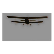 biplane business card