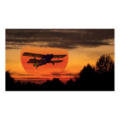 biplane business card by skaljac