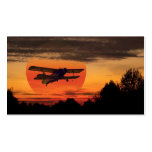 biplane business cards