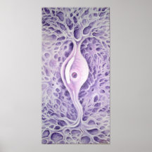 Bipolar neuron posters