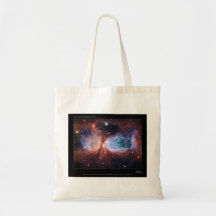 Bipolar Star Forming Region Sharpless 2-106 Nebula Bags