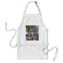 Birch Aprons