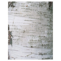 Birch bark flyers