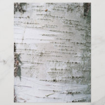 Birch bark flyer design