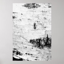 Birch bark posters