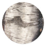 Birch Bark ~ sticker