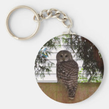 Birch Bay Owl Keychains