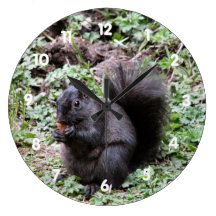 Birch Bay Squirrel Round Clock