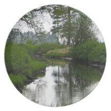Birch Bay State Park Party Plates