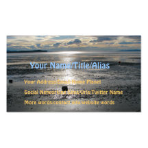 Birch Bay Tide Flats Business Card
