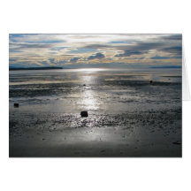 Birch Bay Tide Flats Greeting Card