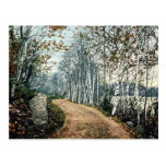 Birch Dr, Lake George NY Postage Postcard