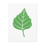 Birch Leaf Postcard Template