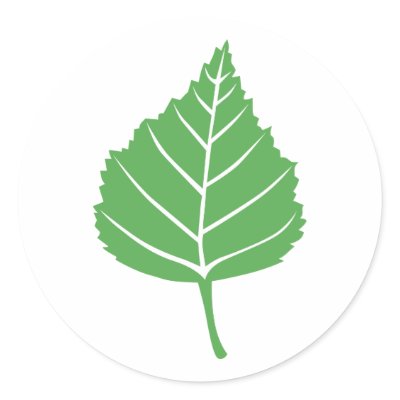 Birch Leaf Sticker 1 by Madinagoodway
