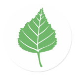 Birch Leaf Sticker 1
