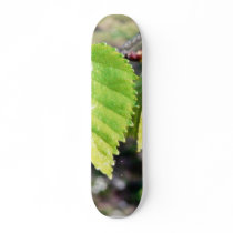 Birch Leaves Green Leaves Skate Board