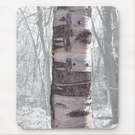 Birch Tree Mouse Pad