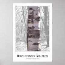 Birch Tree Print