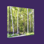 Birch Tree Woods Wrapped Canvas canvas prints