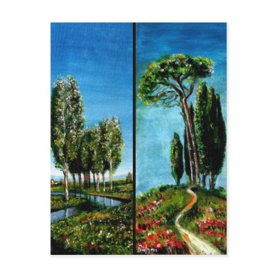 BIRCH TREES,CYPRESS, MEDITERRANIAN PINE IN TUSCANY POSTCARDS by bulgan_lumini