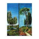 BIRCH TREES,CYPRESS, MEDITERRANIAN PINE IN TUSCANY postcards