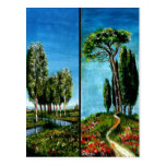 BIRCH TREES,CYPRESS, MEDITERRANIAN PINE IN TUSCANY POSTCARDS