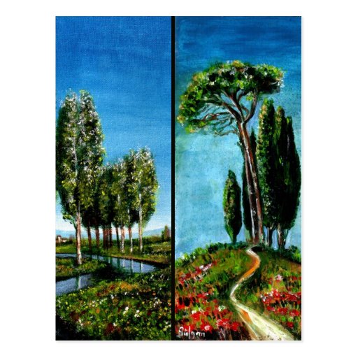 BIRCH TREES,CYPRESS, MEDITERRANIAN PINE IN TUSCANY POSTCARDS