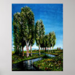 BIRCH TREES IN TUSCANY PRINT