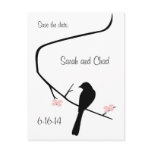 Bird and Blossom Save The Date Postcard