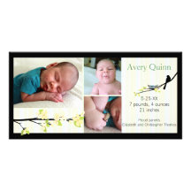 Bird and Blossoms in Neutrals Birth Announcement Personalized Photo Card