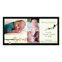 Bird and Blossoms in Neutrals Birth Announcement Picture Card