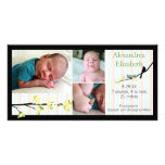 Bird and Yellow Blossoms Pink Birth Announcement Photo Card