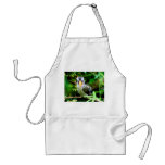 bird black white yellow beak against green painted aprons