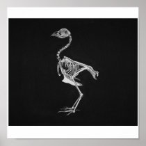 Bird Bones Poster