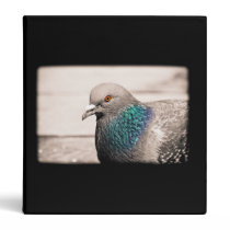 bird by water binders
