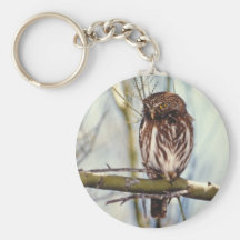 Bird / Cactus Ferruginous Pygmy Owl Keychain