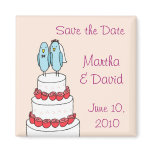 Bird Cake Pink Magnet