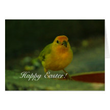 Bird Chick Easter Card