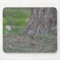 Bird Chirping Mousepads