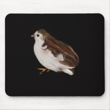 Bird drawing mousepad