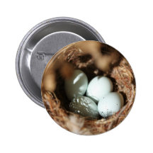 Bird Eggs Nest Button