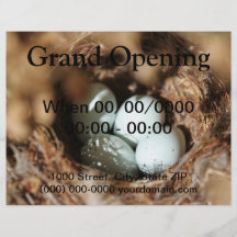 Bird Eggs Nest Full Color Flyer